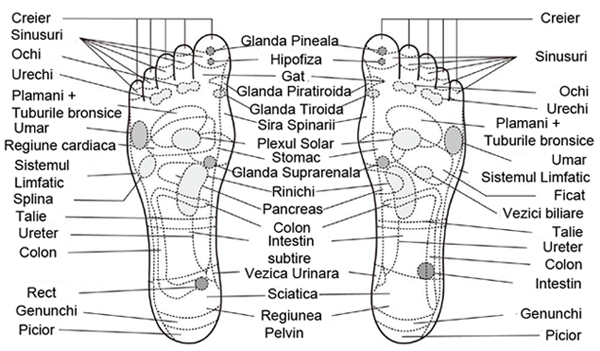 Acupunctura Plasturi KINOKI